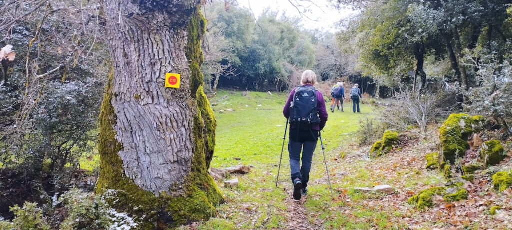 ΧΡΙΣΤΟΥΓΕΝΝΑ ΑΓΡΑΦΑ 2025