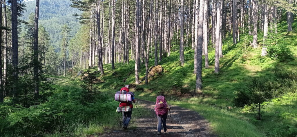 ΒΑΛΙΑ ΚΑΛΝΤΑ ΓΕΦΥΡΙΑ ΒΕΝΕΤΙΚΟΥ ΠΟΤΑΜΟΥ ΛΙΜΝΗ ΑΩΟΥ 30.05-01.06 2026
