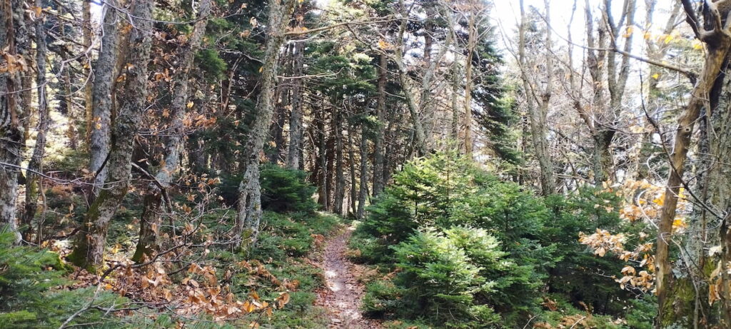 ΔΙΡΦΥΣ Σ1-Σ2 05 ΑΠΡΙΛΙΟΥ