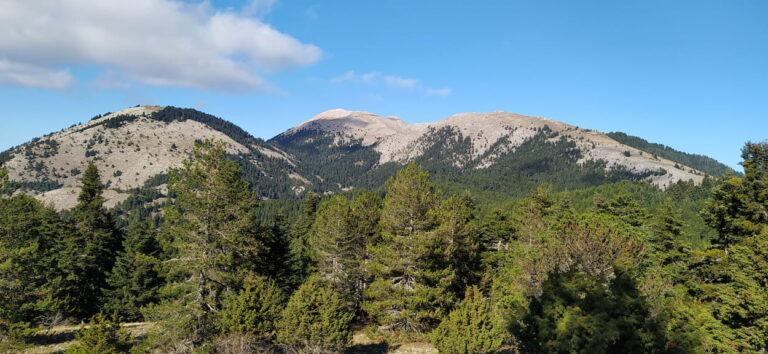 ΠΡΩΤΟΜΑΓΙΑ ΠΑΡΝΩΝΑΣ 1-3.05.2026