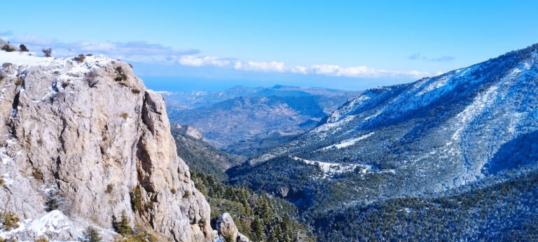 ΖΗΡΕΙΑ ΧΑΡΑΔΡΑ ΦΛΑΜΠΟΥΡΙΤΣΑΣ 26.04.2026